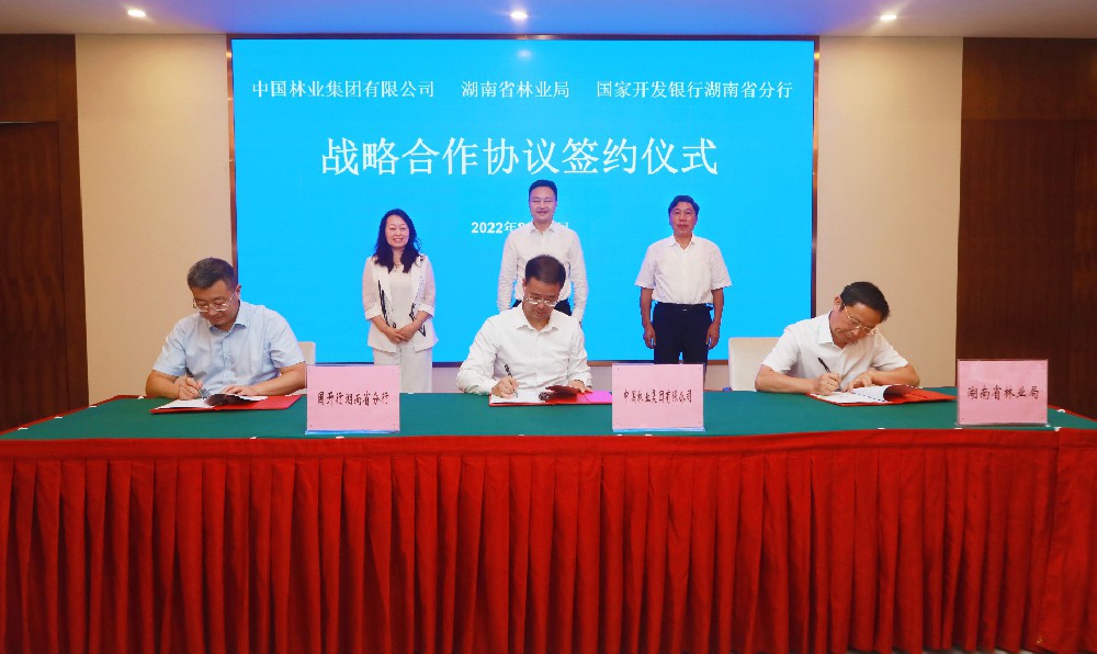 中林集團與湖南省林業(yè)局、國開行湖南省分行簽署戰(zhàn)略合作協(xié)議