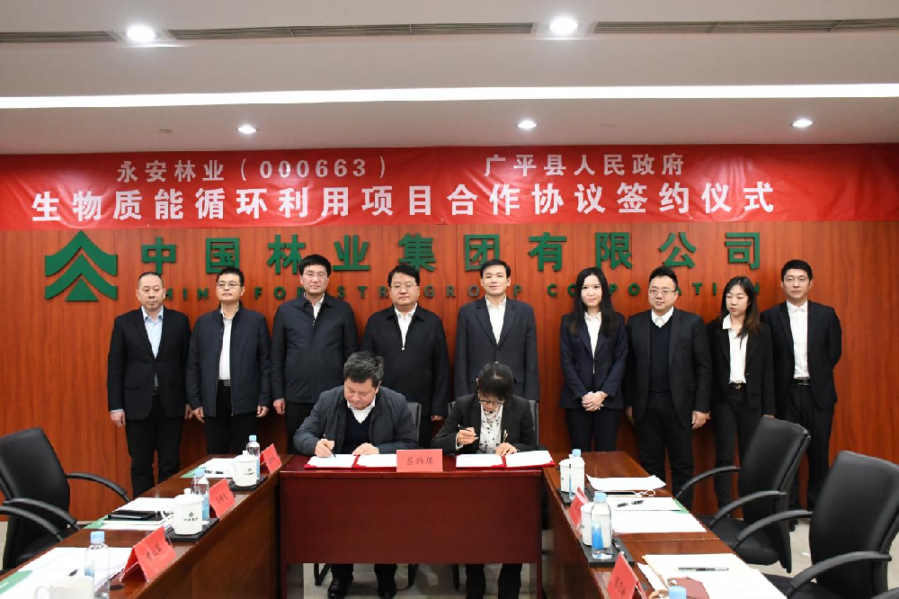 永安林業與廣平縣人民政府簽署戰略合作協議
