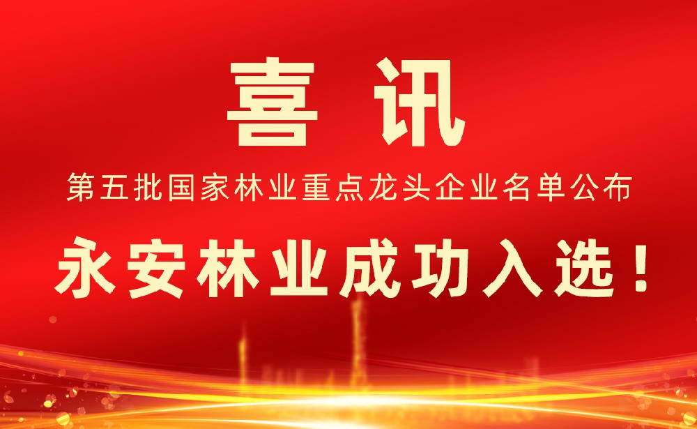 第五批國家林業(yè)重點(diǎn)龍頭企業(yè)名單發(fā)布！永安林業(yè)成功入選！