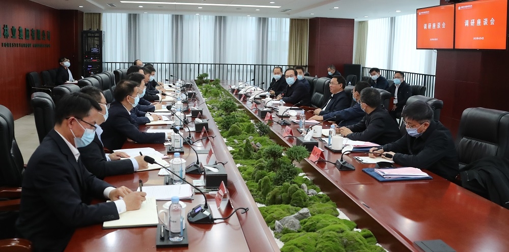 張玉卓到中國林業集團調研