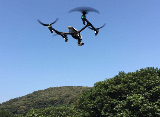 好家伙，林還能這么“管”：中林集團科技賦能智慧林業監管