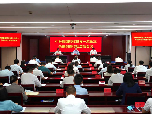 中林集團召開對標世界一流企業價值創造行動啟動會議