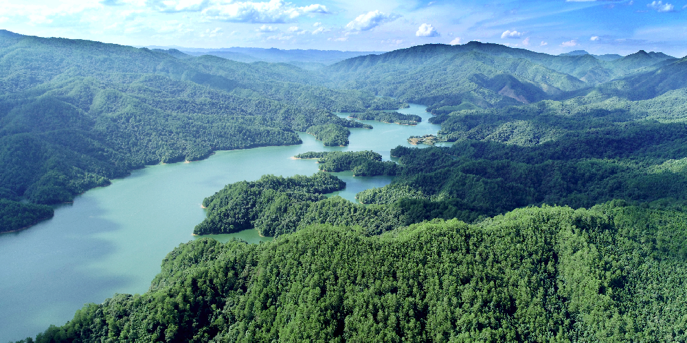 首個(gè)全國(guó)生態(tài)日 | 學(xué)“兩山”理念 繪生態(tài)畫卷