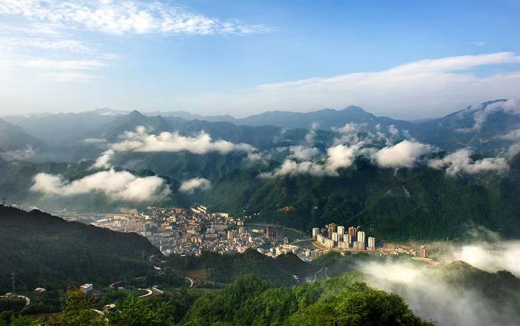 中林集團：把主題教育成果轉化為助推美麗中國建設的生動實踐