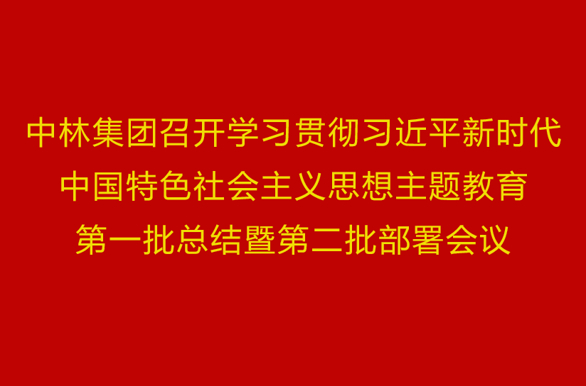 中林集團召開學習貫徹習近平新時代中國特色社會主義思想主題教育第一批總結暨第二批部署會議