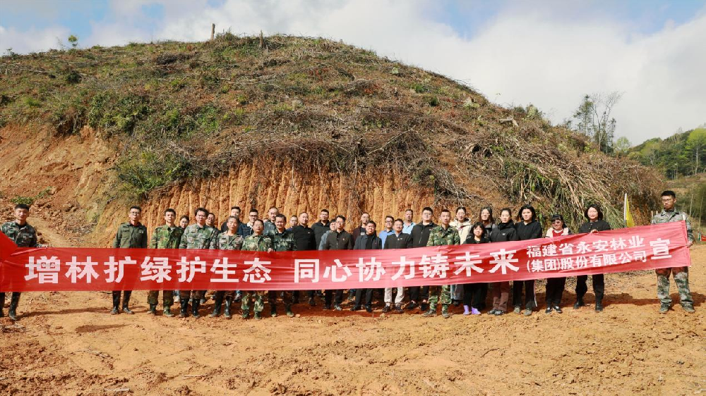 植此綠美 共樹未來 | 永安林業開展2024年義務植樹活動
