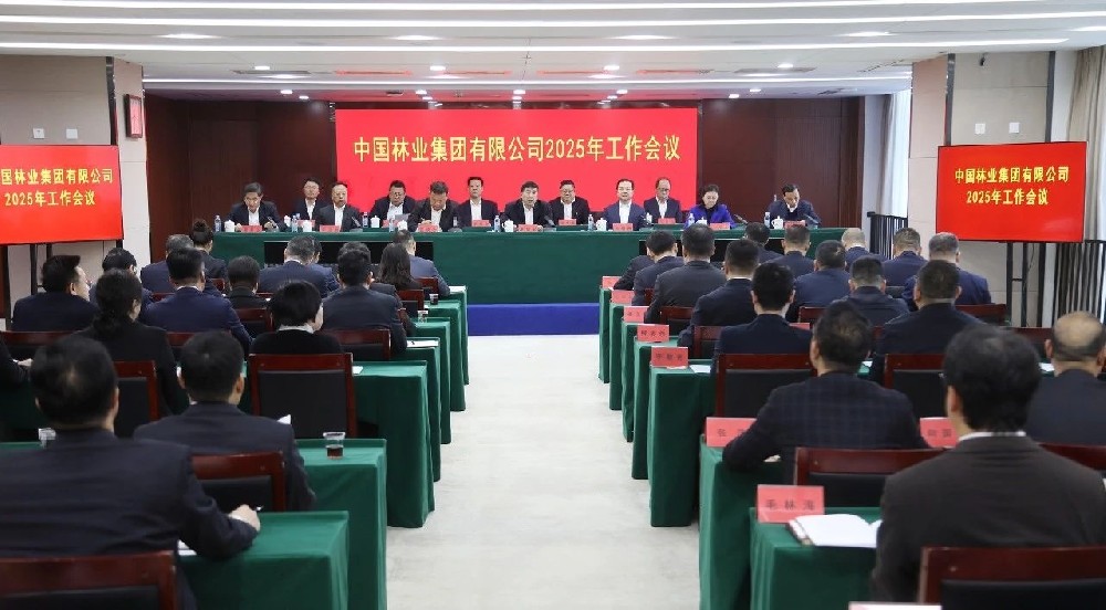 2025年：干字當頭 篤定前行——以自我革命精神推動中林集團實現徹底重塑