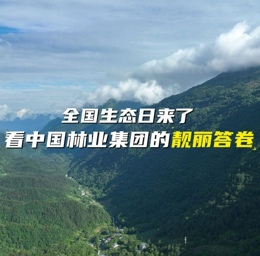 全國生態(tài)日來了！看中國林業(yè)集團(tuán)的靚麗答卷