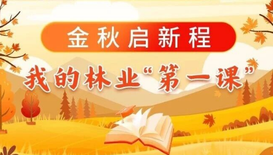 金秋啟新程，我的林業“第一課”（一）