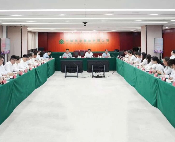 青春建功 實踐礪能——中國林業集團召開總部青年干部基層實踐活動成果交流會